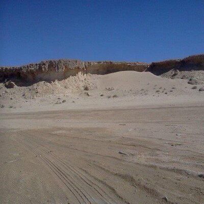 David Tadeo - Twitter Profile Picture of David Tadeo (@dbtadeo) on Twitter