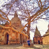 Profile Picture of Thant Oo (@thant-oo-20) on Quora