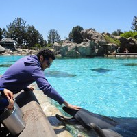 Ilyas Abduljawad - Quora Profile Picture of Ilyas Abduljawad (@ilyas-abduljawad) on Quora