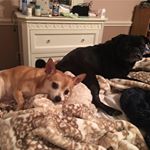 Profile Picture of Barry Hess (@barry.hess.12) on Instagram