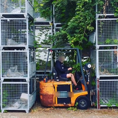 Profile Picture of Eric Von Bär (@EricPotterm) on Twitter