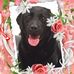 Profile Picture of Beverly Glendenning (@Beverly-Glendenning) on Facebook