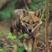 Profile Picture of Kenny Campos (@kenny_campos) on Pinterest