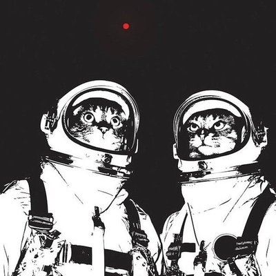 Profile Picture of Patrick Anderson (@IDPDoc) on Twitter