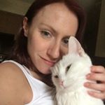 Profile Picture of Candi Hicks (@vino_and_kittens) on Instagram