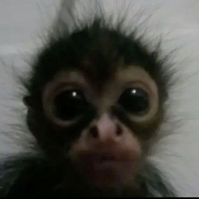 Profile Picture of leena (@leebasho2) on Tiktok