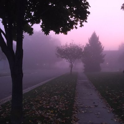 Profile Picture of Aaron Schultz (@Ltlmn165) on Twitter