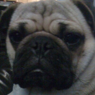 Profile Picture of Samreno90 (@StephenMoreno90) on Twitter