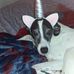 Profile Picture of Laurie Warwick (@laurie.warwick.77) on Facebook