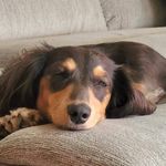 Profile Picture of Sherry Cavanaugh Fee (@sherrycavanaugh) on Instagram