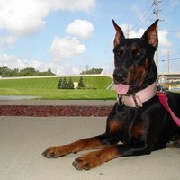 Troy Oliver - Quora Profile Picture of Troy Oliver (@troy-oliver-9) on Quora