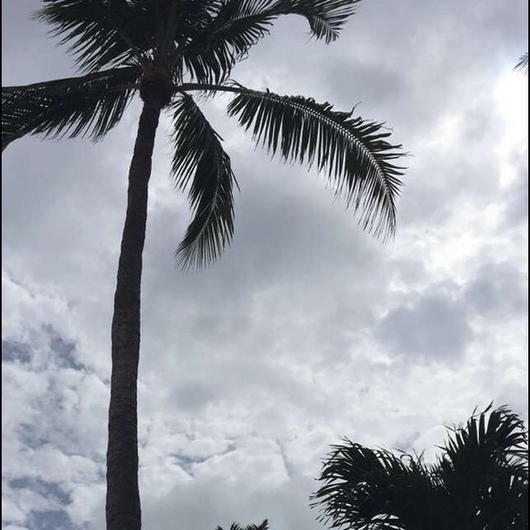 Profile Picture of Anna Biergans (@annab7136) on Poshmark