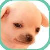 Profile Picture of damianheribertogu (@@damianheribertogu) on Tiktok