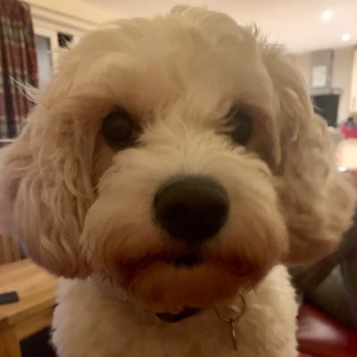 Profile Picture of Stephen Diggle (@Tiggs02) on Twitter