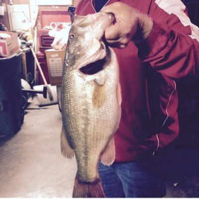 Profile Picture of Vince Stephens (@55lakerfootball) on Twitter