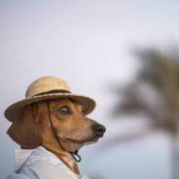 Profile Picture of Norman Vincent Traversy (@norman.traversy) on Facebook