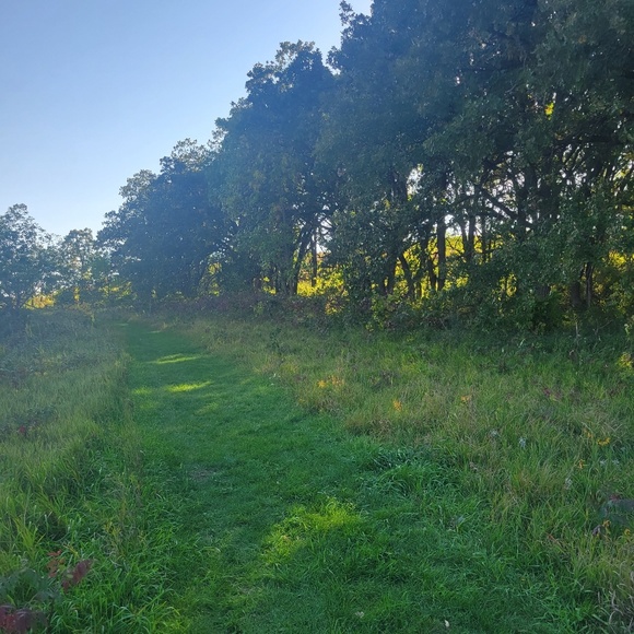 Profile Picture of Olivia Hinton (@livehinton) on Poshmark