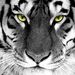 Profile Picture of Jorge Mario Muñoz Alvarez (@avaluos_jmmunoz) on Pinterest