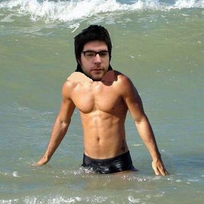 Profile Picture of Pingo Rock (@Pingorock) on Twitter