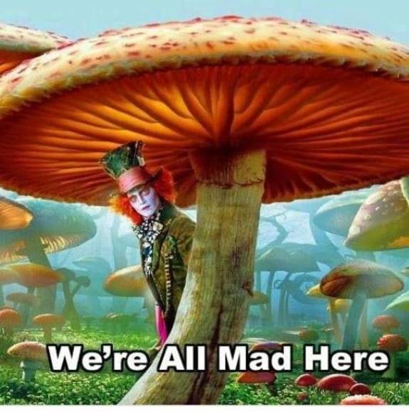 Profile Picture of Patches Indianblue (@patchesi) on Poshmark