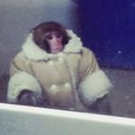 Profile Picture of Thomas Ladder Jr (@thomas_ladder) on Instagram