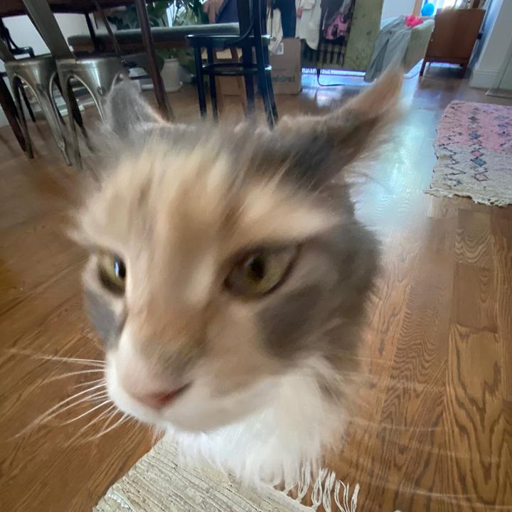 Profile Picture of Penelope (@@p3mmy) on Tiktok