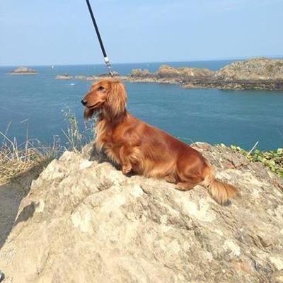 Profile Picture of Isabelle DUMONT (@Pilpoilpatapouf) on Twitter