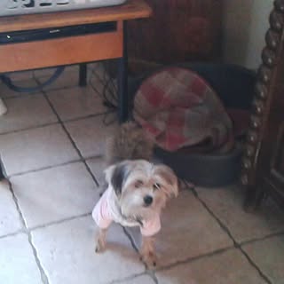 Profile Picture of Jerome Benavides (@benavidesjerome) on Instagram