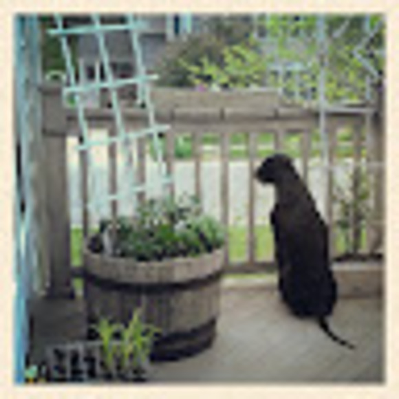 Profile Picture of Astrid C (@astic2) on Poshmark