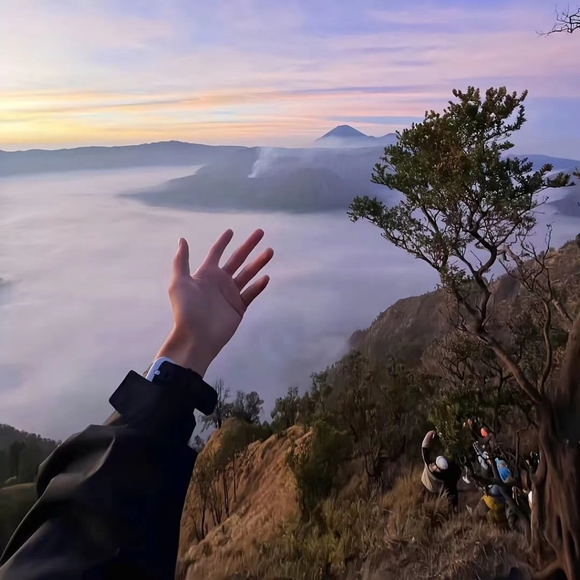 Profile Picture of Pinedo Kager (@pinedokager) on Poshmark