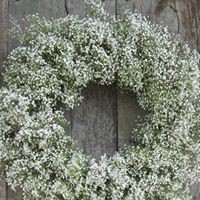 Profile Picture of Pamela Bailey (@pamela-bailey-12) on Quora