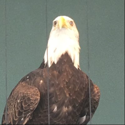 Profile Picture of Aaron Coggins (@AaronCoggins5) on Twitter