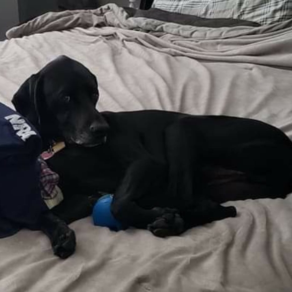 Profile Picture of Jim Seeley (@jimseeley) on Poshmark