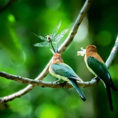 Profile Picture of Setu Patel (@setupatel15) on Twitter