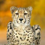 Profile Picture of Kathren Dawn Leingang (@kathrendawn) on Instagram