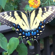 Profile Picture of Kate Finn (@katefinn4155) on Youtube