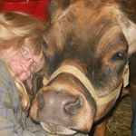 Profile Picture of Dawn Studwell Dykstra (@dawnsdykstra) on Instagram