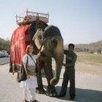 Profile Picture of Renee Knight (@raniyogadevi) on Instagram