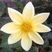 Profile Picture of Ashok Rathee (@ak9729945654) on Pinterest