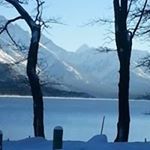 Profile Picture of Shelley Blyth (@shelleyblyth1) on Instagram