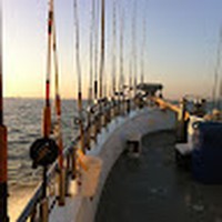 Richard Vento - Quora Profile Picture of Richard Vento (@richard-vento-3) on Quora