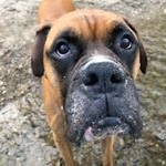 Profile Picture of Amanda (@hadesgilbert123) on Instagram