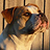 Profile Picture of dakotadawn (@dakotadawn) on Flickr
