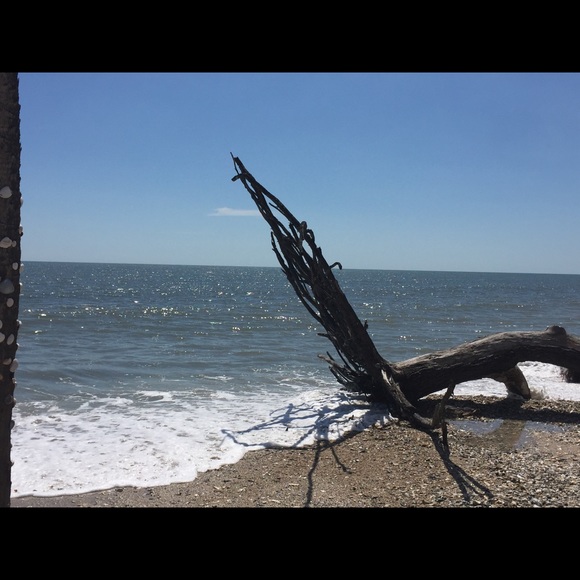 Profile Picture of James Mccray (@mccrayfashion) on Poshmark