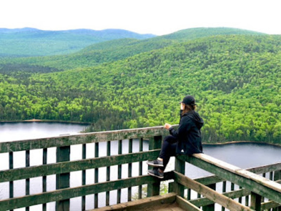 Julie Maglinte - Poshmark Profile Picture of Julie Maglinte (@jkmaglinte) on Poshmark