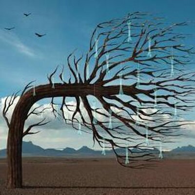 Profile Picture of Fergus Newton-Grant (@Fergsss1999) on Twitter