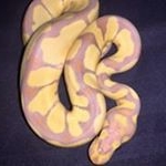 Jason Navarre - Instagram Profile Picture of Jason Navarre (@jason.navarre) on Instagram