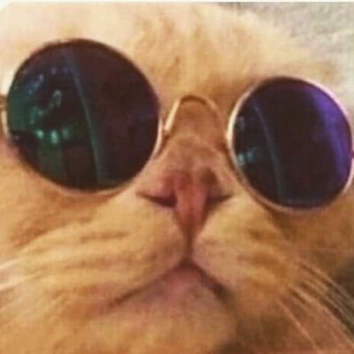 Profile Picture of Devan Snyder (@Plebion) on Twitter