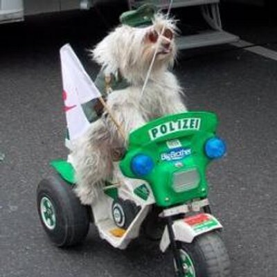 Profile Picture of Richard Gruber (@123Gruber123) on Twitter