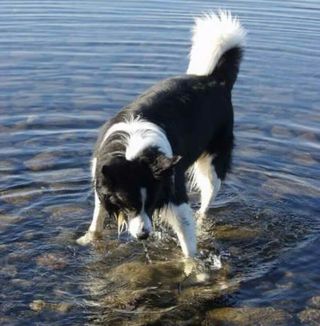 Profile Picture of Marilyn Burroughs (@marilyn.burroughs.90) on Facebook